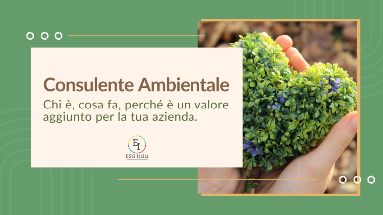 consulente ambientale sostenibilità