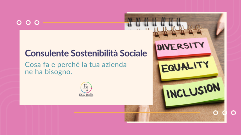 consulente sostenibilità sociale imprese