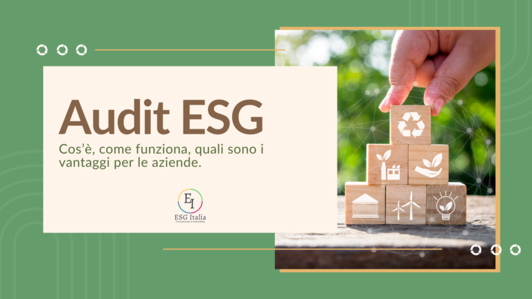 audit esg sostenibilità ambientale e sociale